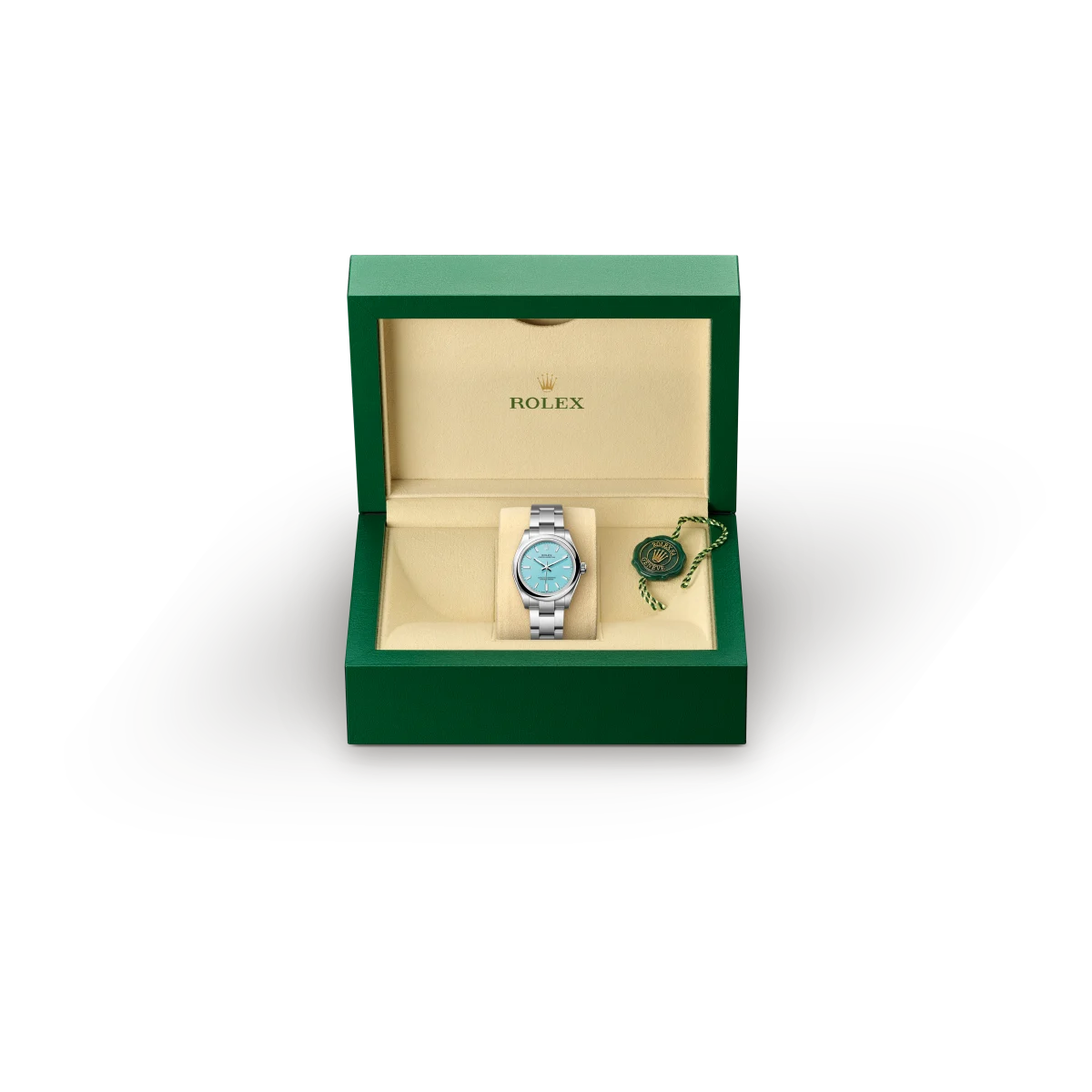 rolex Oyster Perpetual em Aço Oystersteel, M277200-0007 - Sara Joias