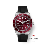 imagem do produto  Black Bay 58