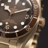 imagem do produto  Black Bay 58 Bronze