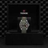 imagem do produto  Pelagos FXD GMT