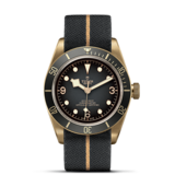 imagem do produto  TUDOR Black Bay Bronze
