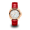 imagem do produto  Luminor Due Goldtech MadrePerla 38mm