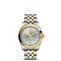 imagem do produto  TUDOR Black Bay 31 S&G