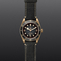 imagem do produto  TUDOR Black Bay Bronze