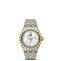 imagem do produto  TUDOR Royal